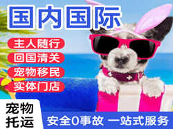静巴音布鲁克机场快递国际宠物托运 【国